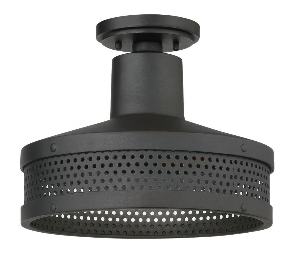 Abalone Point - 1 Light Outdoor Flush Mount