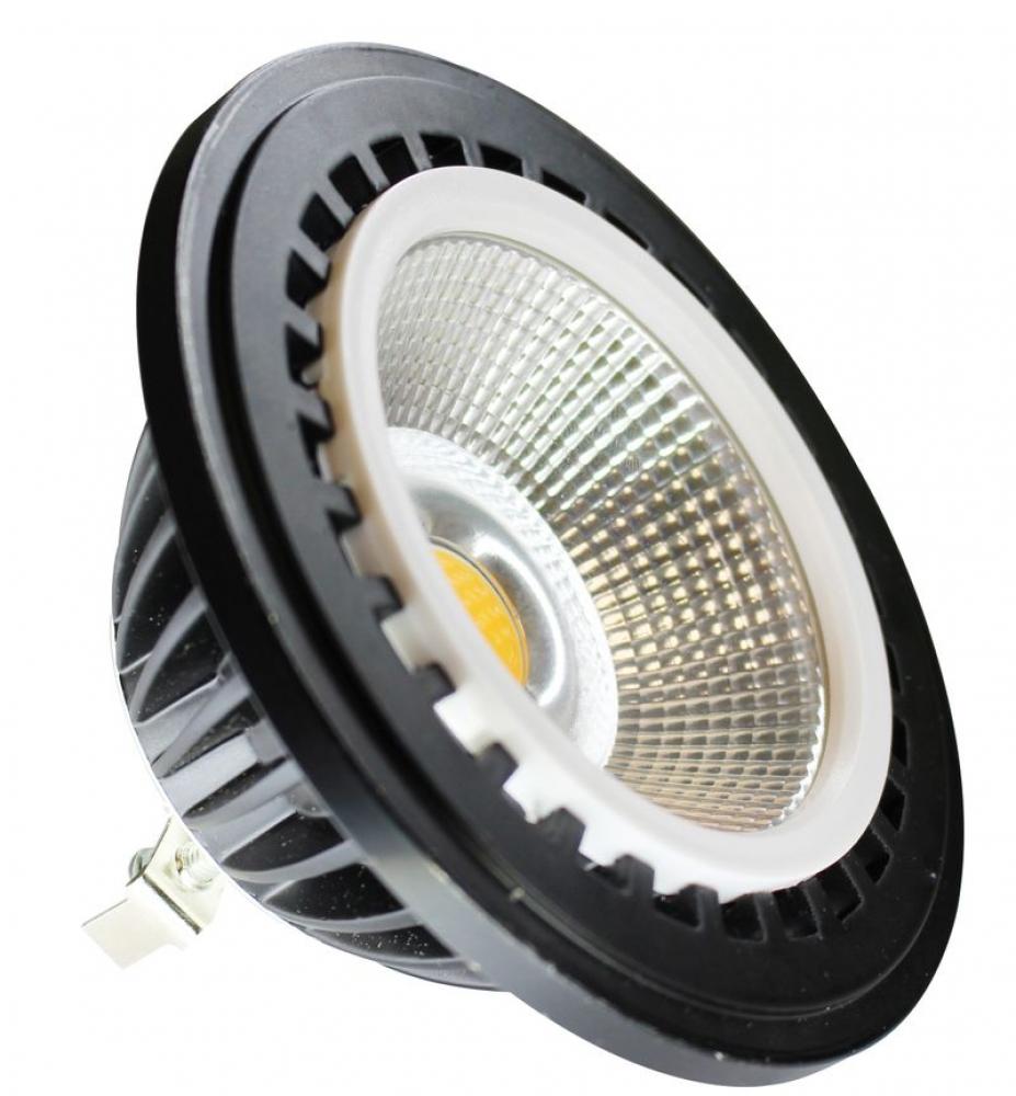 PAR36 LED 12V AC, 10W, 800LMS, CRI80, 50D ANGLE 4000K DAMP LOCATION