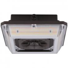 Westgate MFG C3 CAX-60-90W-MCTP-SR - CANOPY GARAGE LIGHT, ANGLED BEAM, SELECTABLE 60/75/90W 30/40/50K 0-10V