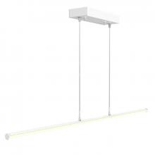 Westgate MFG C3 SDTL-4FT-20-30W-MCTP - 4FT LINEAR TUBE DECORATIVE SUSP. LIGHT TUNABLE 20-30W 30/35/40K WHT