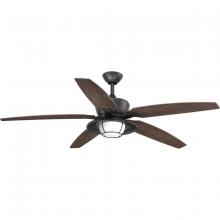 Progress P2564-8030K - P2564-8030K 60IN 5 BLADE OUTDOOR LED FAN