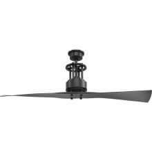 Progress P2570-143 - P2570-143 56IN 2 BLADE FAN