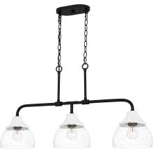 Quoizel OTN336MBK - Otten Island Chandelier