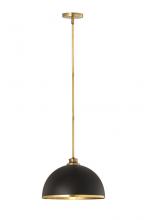 Z-Lite 1004P14-MB-RB - 1 Light Pendant