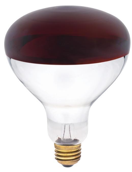 250W R40 Incandescent Reflector Red Infrared Heat Flood E26 (Medium) Base, 120 Volt, Box