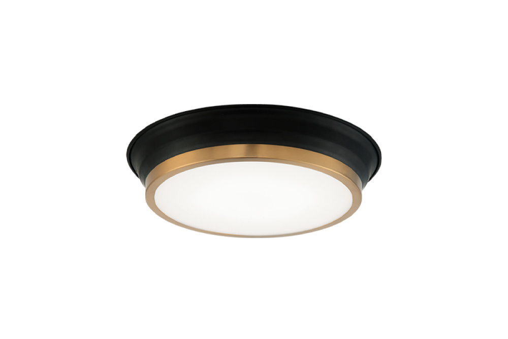 JAXX Ceiling Mount