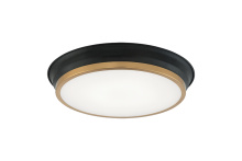 Matteo Lighting M11202BKAG - JAXX Ceiling Mount