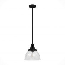 Hunter 19247 - Hunter Cypress Grove Natural Black Iron with Clear Holophane Glass 1 Light Pendant Ceiling Light