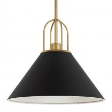 Hunter 13165 - Hunter Carrington Isle Matte Black and Luxe Gold 1 Light Pendant Ceiling Light Fixture