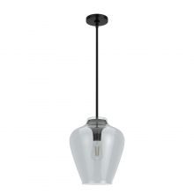 Hunter 19111 - Hunter Vidria Matte Black with Smoked Glass 1 Light Pendant Ceiling Light Fixture