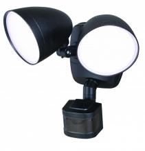 Security Lights