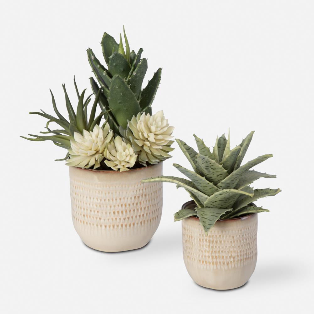 Uttermost Seaside Succulents, Set/2