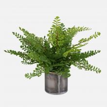 Uttermost 60237 - Uttermost Maidenhair Fern In Oxidized Container